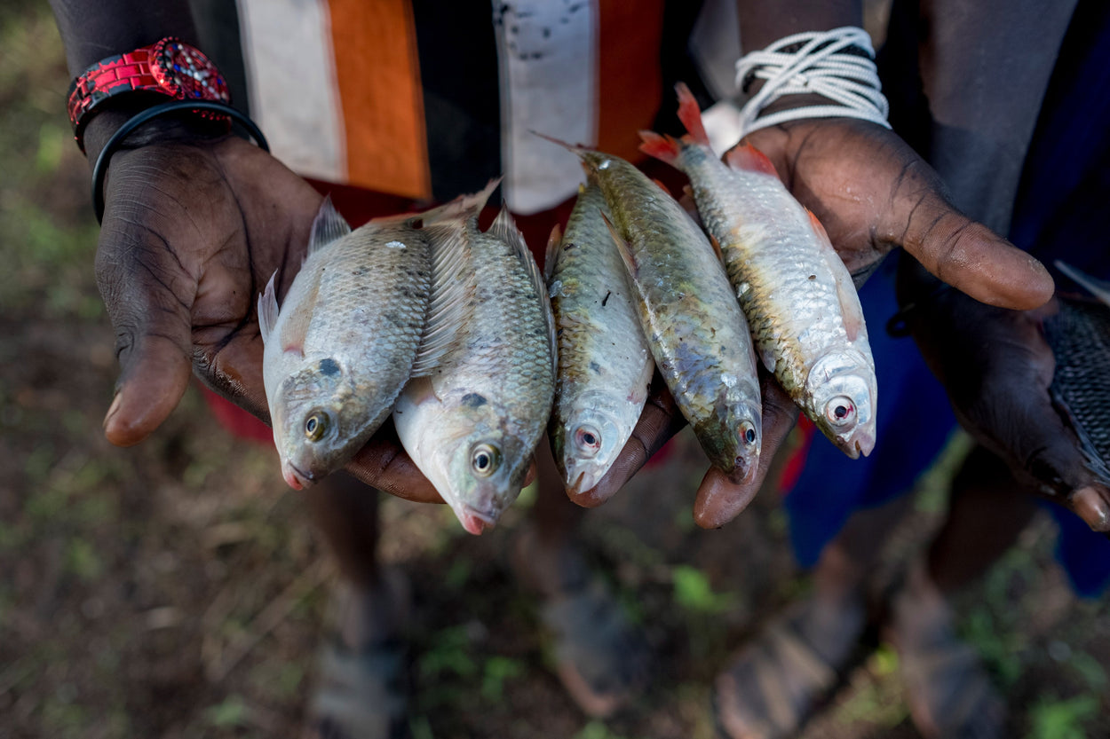 man holding five small fish in his hands