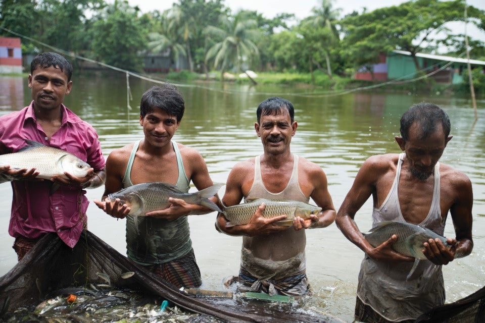 Stock a Fish Pond