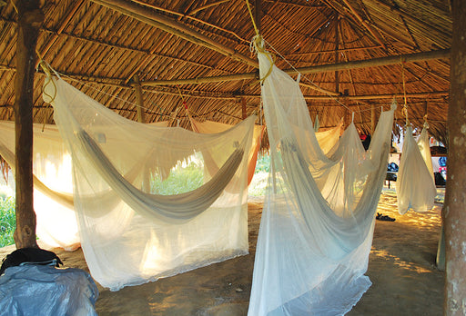 Malaria Shield